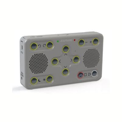 Тифлофлешплеер ElecGeste DTBP-301 Медиум